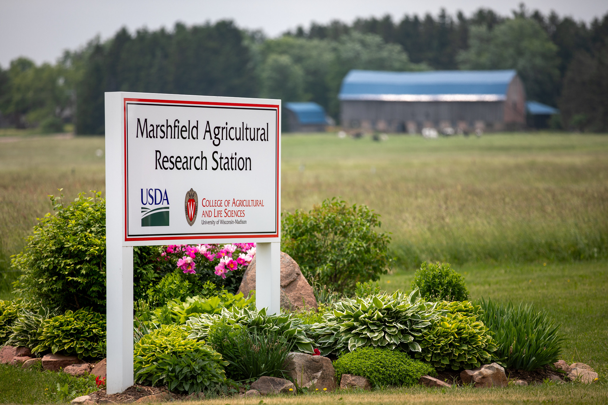 Wisconsin Usda Rural Development News – Wisconsin Rural Partnerships Institute