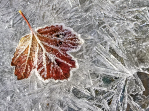 Cold Front Brings Frost but No Drought Relief to Wisconsin