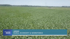 What’s driving Wisconsin’s rural economy?